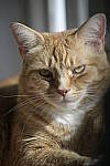 Click to see Y-D850-DSC0644.JPG