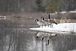 Click to see Y-D850-DSC0796.JPG