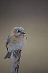 Click to see Y-D850-DSC1432.JPG
