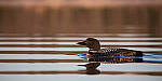 Click to see Y-D850-DSC2100-MOD.JPG