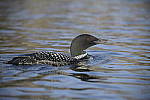Click to see Y-D850-DSC2603.JPG