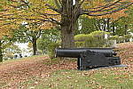 Click to see Y-JG-DSC0087.JPG