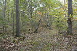 Click to see Y-JG-DSC0096-VS-GFX-BASE-ISO-F8.JPG