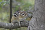 Click to see Y-JG-DSC0450.JPG