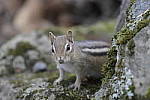 Click to see Y-JG-DSC0475.JPG