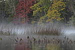 Click to see Y-JG-DSC1291.JPG
