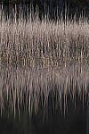 Click to see Y-JG-DSC1308.JPG