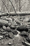 Click to see Y-JG-DSC1980-MOD.JPG