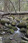 Click to see Y-JG-DSC1980.JPG