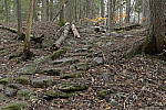 Click to see Y-JG-DSC1989.JPG