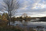 Click to see Y-JG-DSC2037.JPG