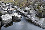 Click to see Y-JG-DSC2045.JPG