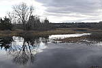 Click to see Y-JG-DSC2991-VS-GFX-BASE-ISO.JPG