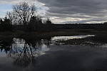 Click to see Y-JG-DSC2993-VS-GFX-PLUS-1-EV.JPG