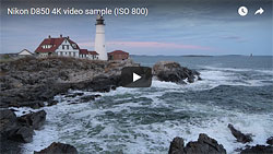 Nikon D850 field test photo