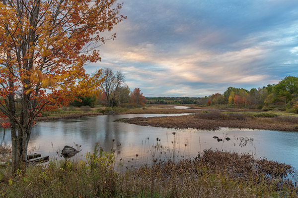 Nikon D850 Review: Field Test -- Gallery Image