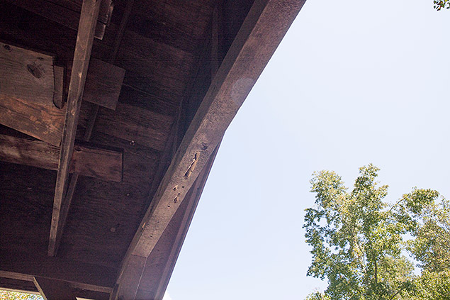 Nikon D850 Review -- Field Test Gallery Image