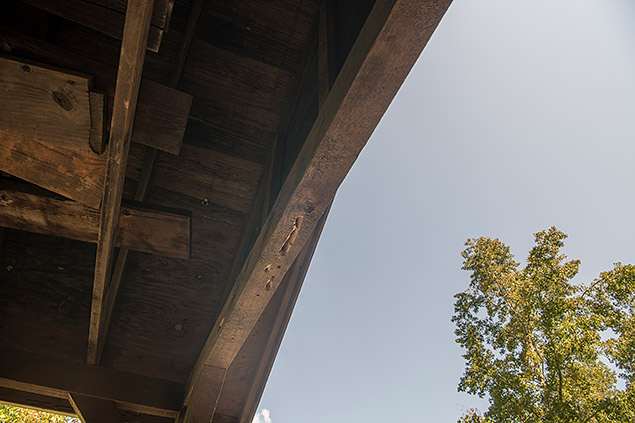 Nikon D850 Review -- Field Test Gallery Image