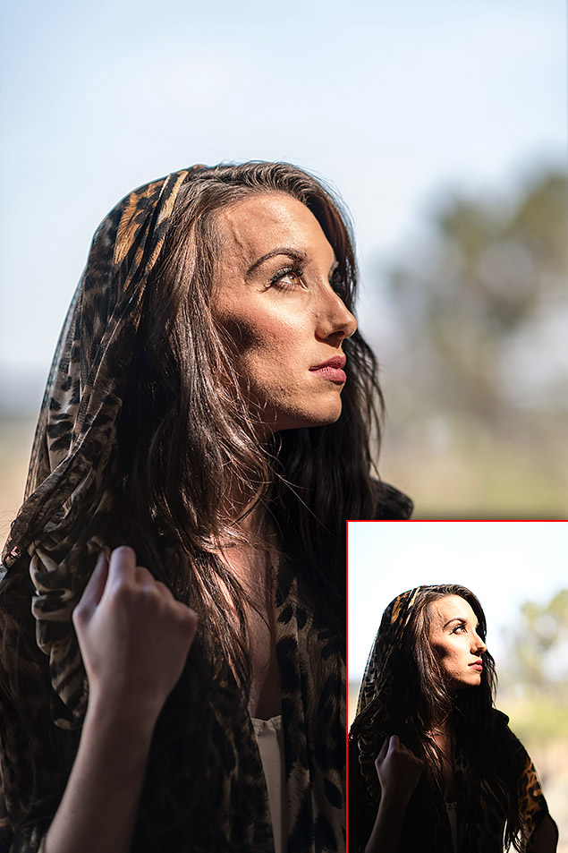 Nikon D850 Review -- Field Test Gallery Image