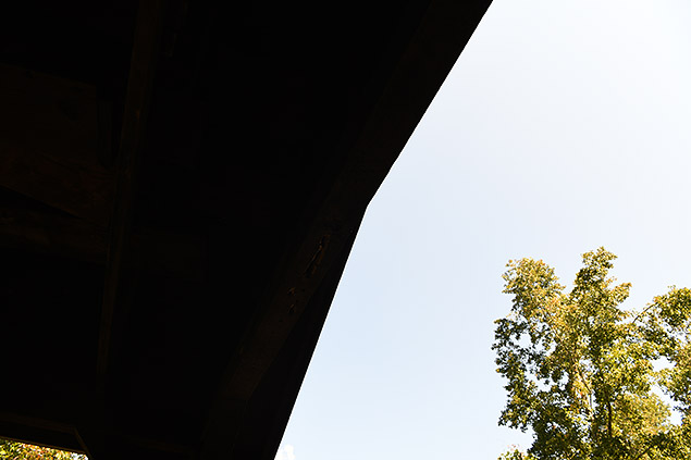 Nikon D850 Review -- Field Test Gallery Image