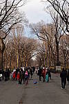 Click to see YDSC_0877.JPG