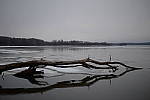 Click to see YDSC_1072.JPG