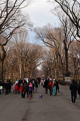 Nikon DF review -- Sample photo