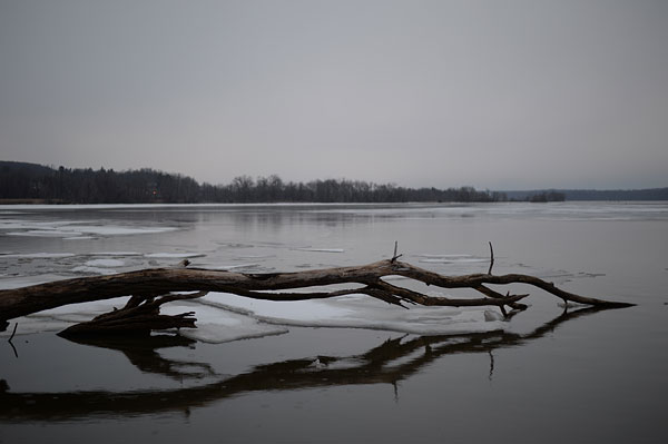 Nikon DF review -- Sample photo