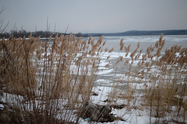 Nikon DF review -- Sample photo