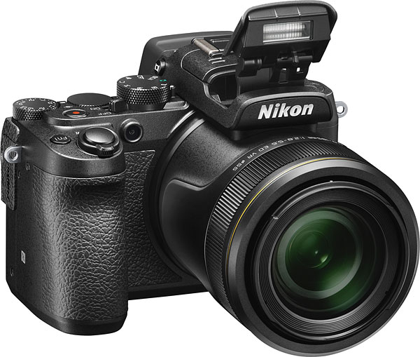 Nikon DL24-500 Review -- Product Image