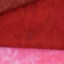100% crop from Nikon J4 test image taken at ISO 1600