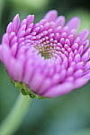 Click to see Y_DSC0745.JPG