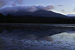 Click to see Y_DSC0779.JPG