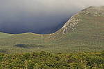 Click to see Y_DSC0783.JPG