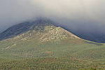 Click to see Y_DSC0791.JPG