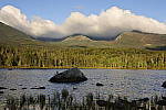 Click to see Y_DSC0814.JPG