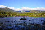 Click to see Y_DSC0828-miniCE.JPG