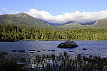 Click to see Y_DSC0855-ISO-200.JPG