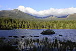 Click to see Y_DSC0857-ISO-800.JPG