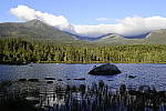 Click to see Y_DSC0863-NRoff.JPG
