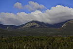 Click to see Y_DSC0908.JPG