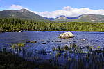 Click to see Y_DSC0919.JPG