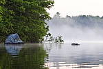 Click to see Y_DSC0921.JPG