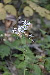 Click to see Y_DSC1070-HDR.JPG