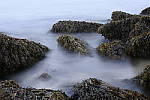 Click to see Y_DSC1338.JPG