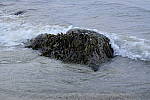 Click to see Y_DSC1384-60fpsBurst.JPG