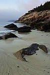 Click to see Y_DSC1448.JPG