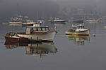 Click to see Y_DSC1465.JPG