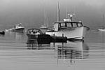Click to see Y_DSC1477.JPG