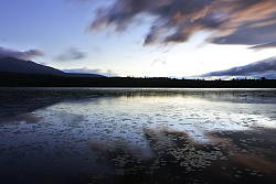 Nikon J5 field test photo